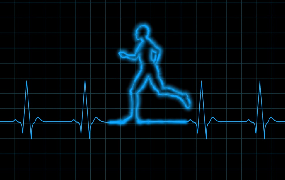 Das Belastungs-EKG erfolgt unter vorgegebener körperlicher Leistung.